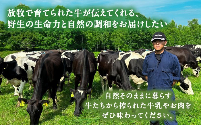 牛肉 ビーフ 肉 ミート 牛 焼肉 ギフト 北海道産 北海道