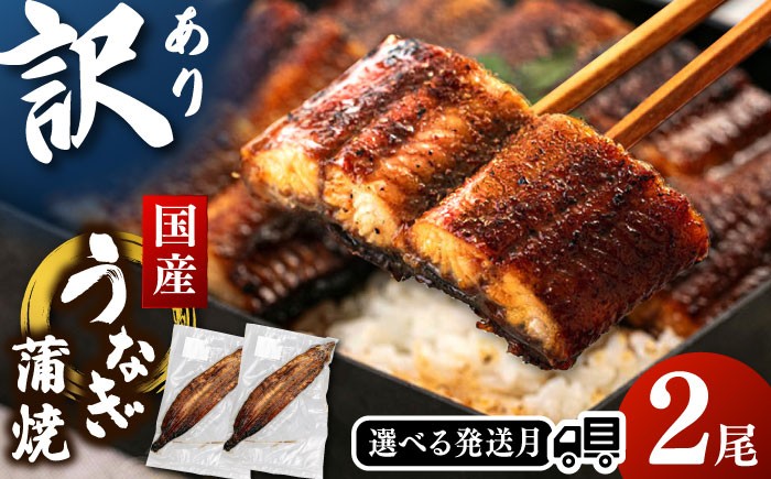 国産 うなぎ 鰻 ウナギ 訳あり ワケアリ 九州 鹿児島産 鹿児島県産