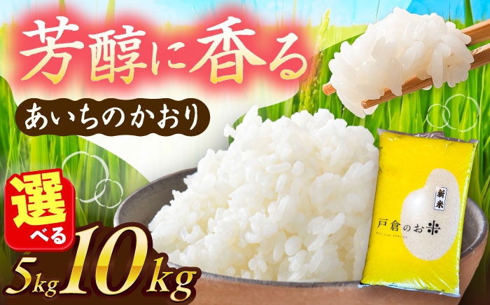 米 お米 5kg 10kg 白米 精米 新米 愛知県産 国産 米 あいちのかおり