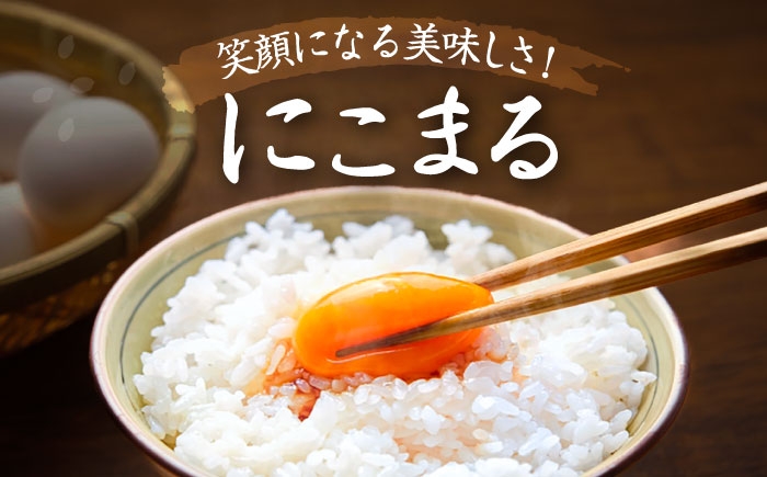 米 お米 5kg 10kg 白米 精米 新米 愛知県産 国産 米 特別栽培米