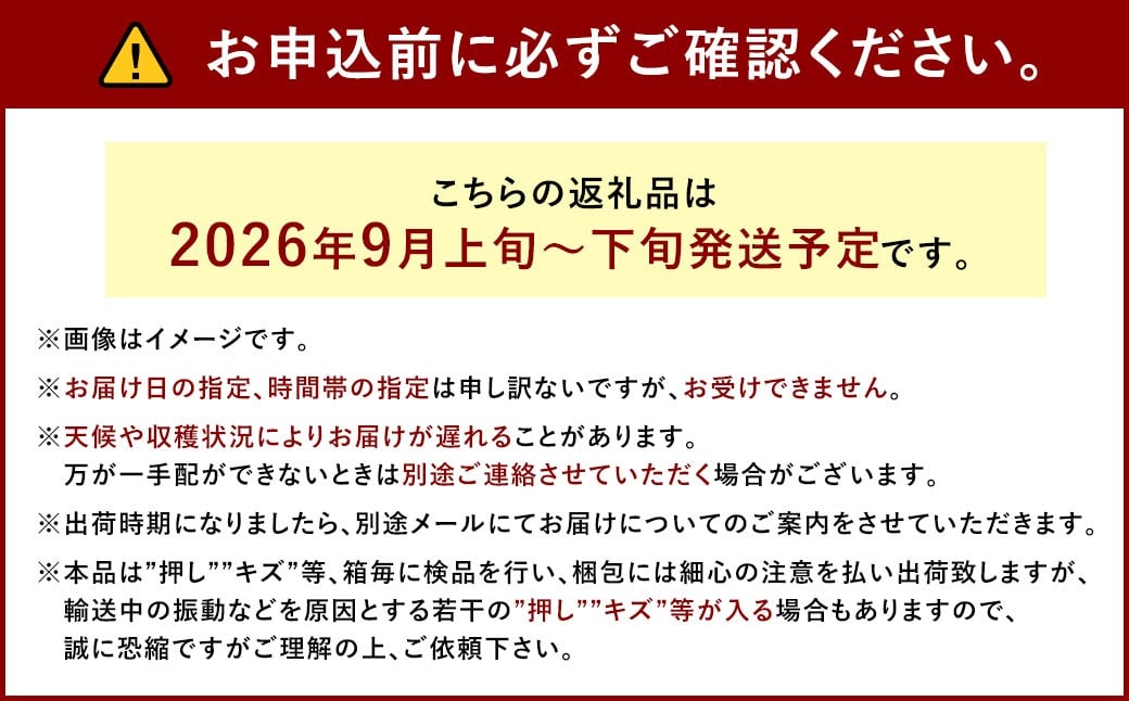 ぶどう 2026年 先行予約 瀬戸ジャイアンツ 3房 合計2kg以上