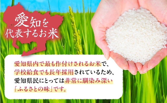 米 お米 5kg 10kg 白米 精米 新米 愛知県産 国産 米 あいちのかおり