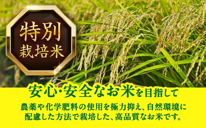 米 お米 5kg 10kg 白米 精米 新米 愛知県産 国産 米 あいちのかおり