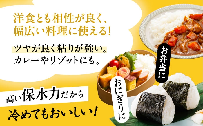 米 お米 5kg 10kg 白米 精米 新米 愛知県産 国産 米 特別栽培米
