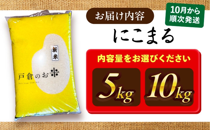 米 お米 5kg 10kg 白米 精米 新米 愛知県産 国産 米 特別栽培米
