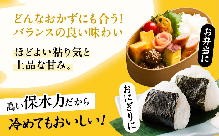 米 お米 5kg 10kg 白米 精米 新米 愛知県産 国産 米 あいちのかおり