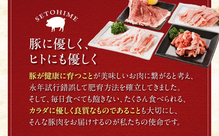 肉 豚肉 ロース バラ 焼肉 BBQ セット 食べ比べ 贈答 ギフト プレゼント