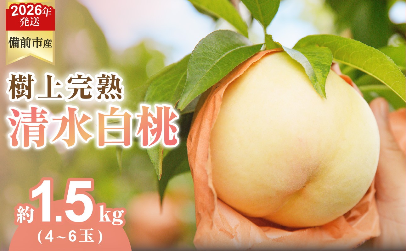 写真はイメージです