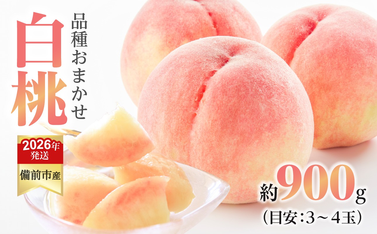 写真はイメージです