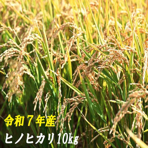 ※画像はイメージです。
