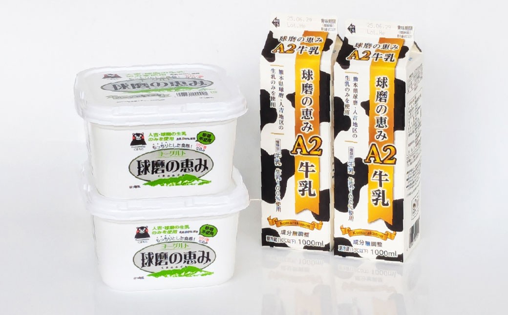 球磨の恵み「A2牛乳」と「球磨の恵みヨーグルト(砂糖不使用)」セット
