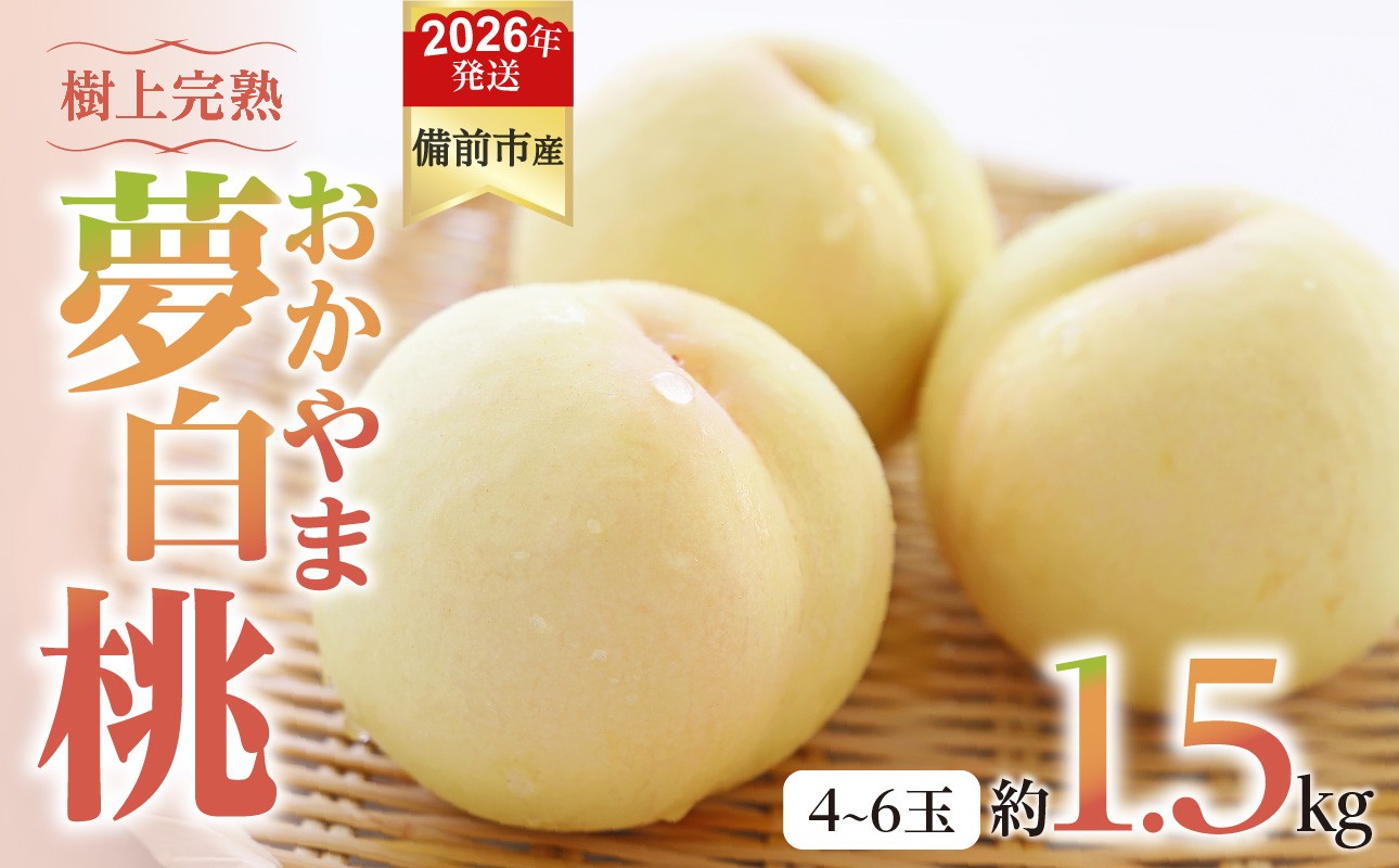 写真はイメージです