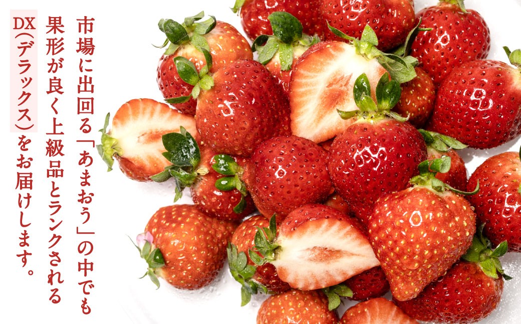 福岡県産特産品 うまもぐ厳選果物 福岡県産 博多あまおう DX上級品 約1.5kg（約250g×6パック入り）