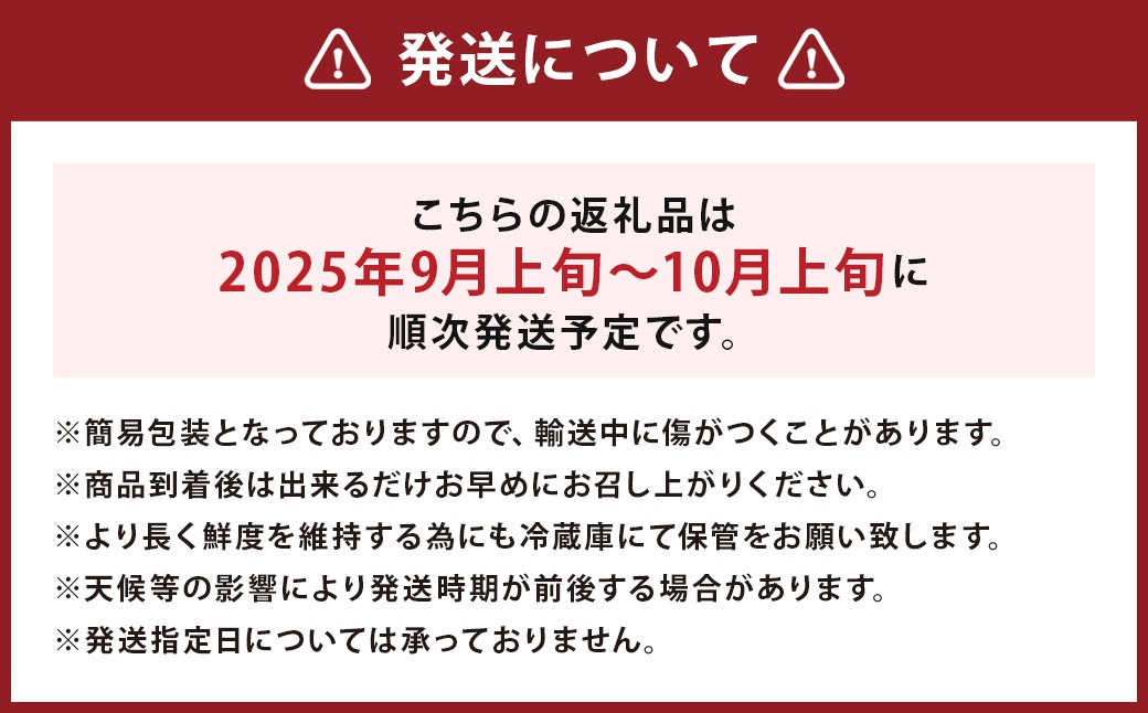 【訳あり】 紅いわて 約5kg 家庭用
