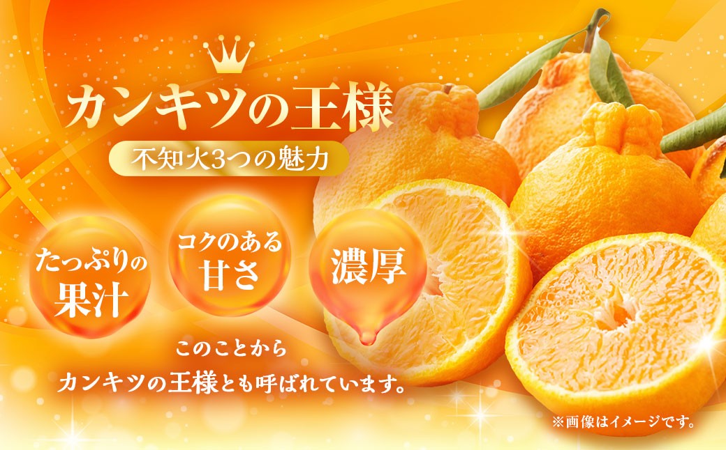 不知火 約3kgセット