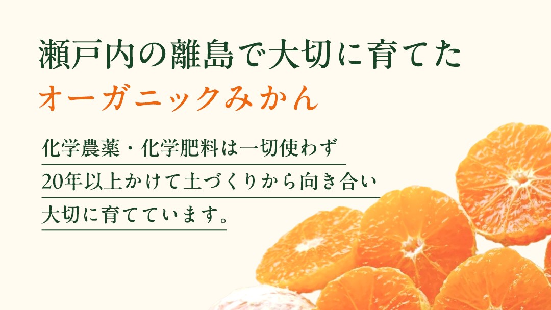 タイベックシートを使用したマルチ栽培を導入し、自然の力を最大限に活かしたみかんづくり