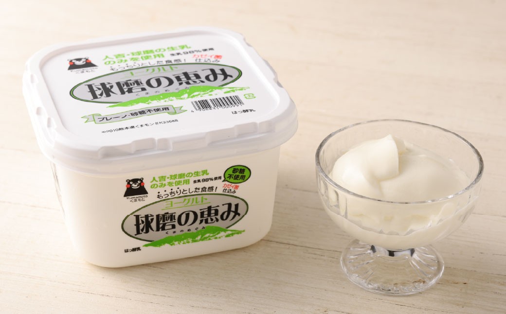 球磨の恵み「A2牛乳」と「球磨の恵みヨーグルト(砂糖不使用)」セット