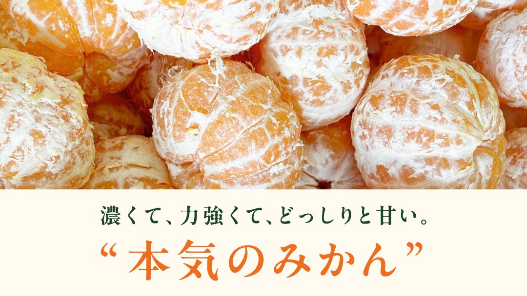 フカフカで栄養たっぷりの土が、元気な果実を育みます。