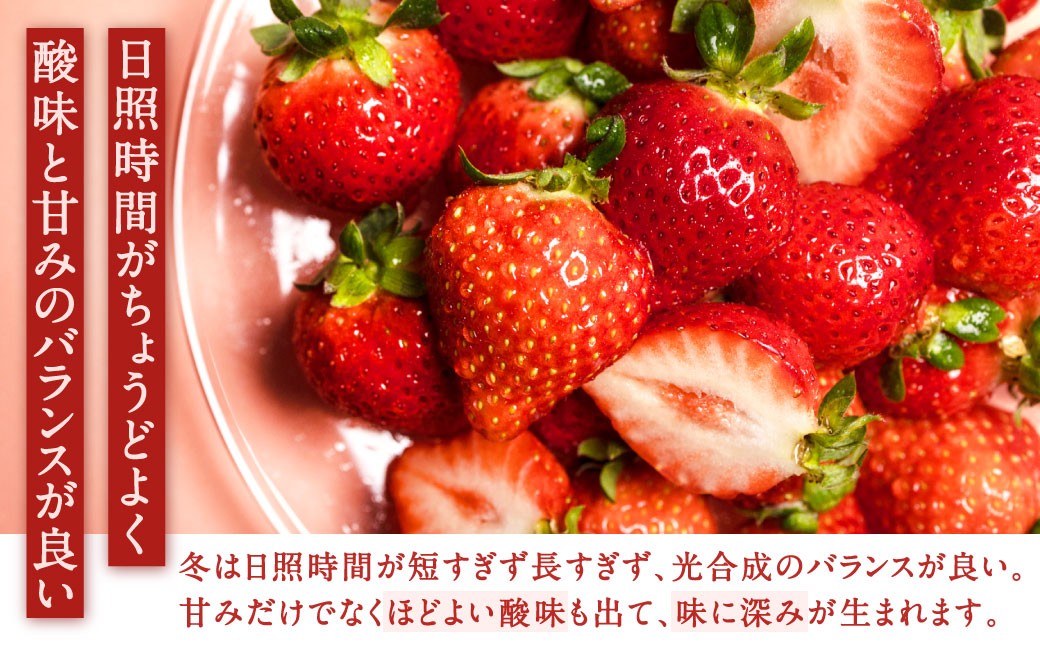 福岡県産特産品 うまもぐ厳選果物 福岡県産 博多あまおう DX上級品 約1kg(約250g×4パック入り)