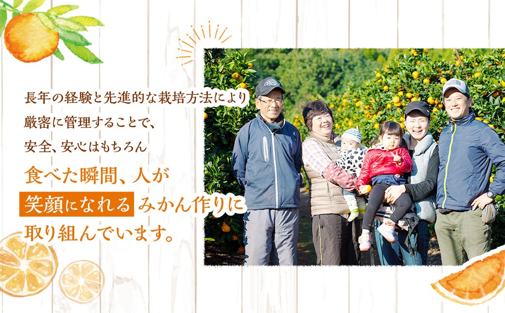 不知火 約3kgセット