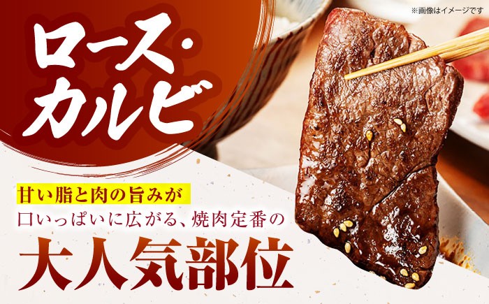 佐賀牛 焼肉用 ＜ロース カルビ＞ 計1kg（500g×2パック） [HCS024] ロース カルビ ヒレ フィレ モモ 赤身