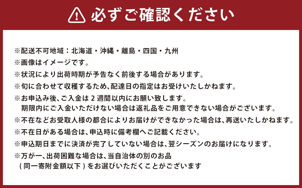 昔ながらのブルームきゅうり 15本(約1.5kg)