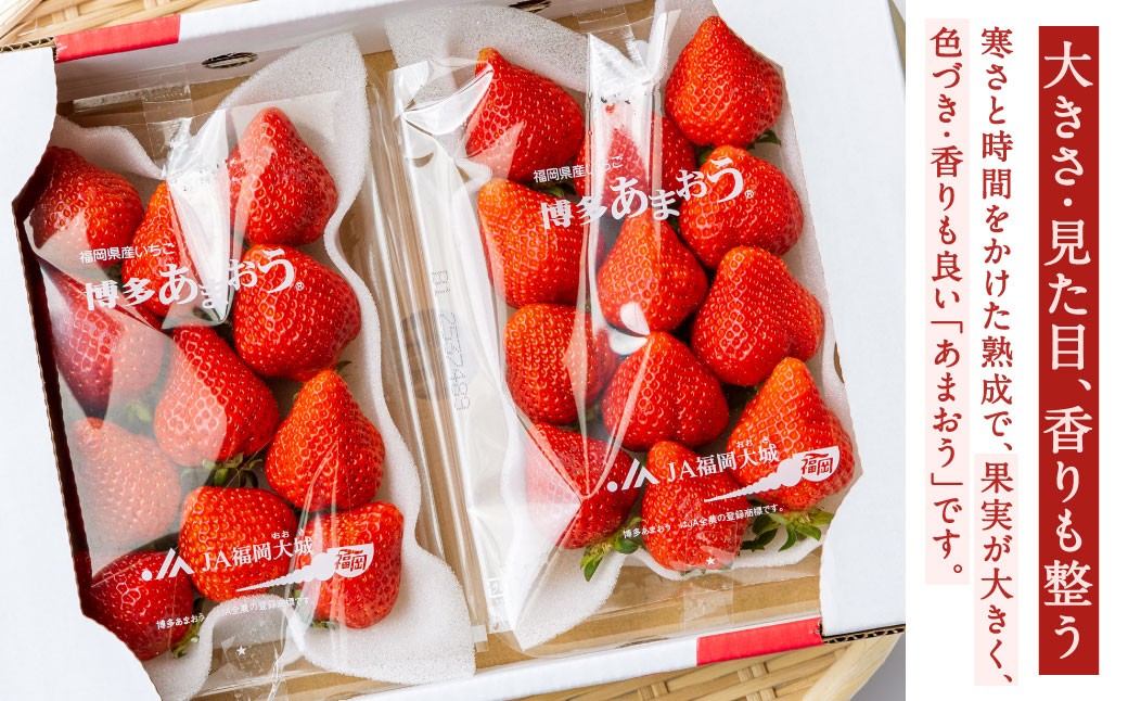 福岡県産特産品 うまもぐ厳選果物 福岡県産 博多あまおう DX上級品 約1kg(約250g×4パック入り)