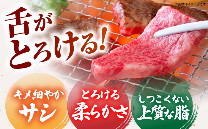佐賀牛 A5 A4 焼肉用 冷凍 ロース カルビ 牛肉 佐賀 国産 定期便 ミックス 6回 6ヶ月 定期 黒毛和牛 和牛