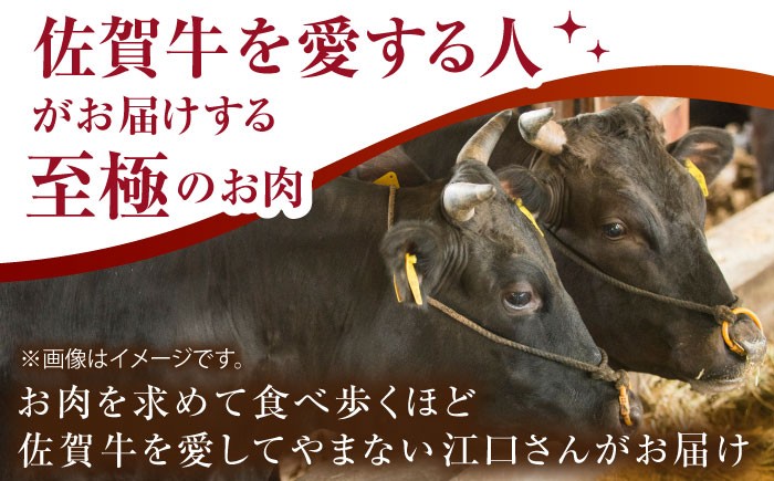 【いろいろな部位を楽しめて、食べごたえ抜群！】佐賀牛 はしっこちゃん ＜ロース カルビ＞ 計2.0kg（500g×4パック）