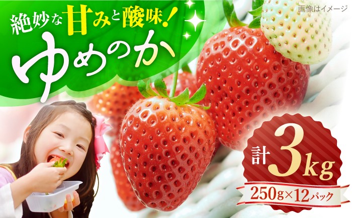 いちご 3kg ゆめのか
