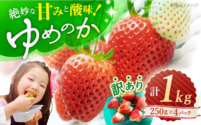 訳あり いちご 1kg