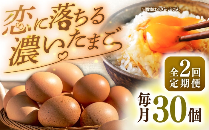 たまご ギフト 卵  新鮮 栄養豊富 濃厚 話題のたまご 贈答用  朝食 昼食
