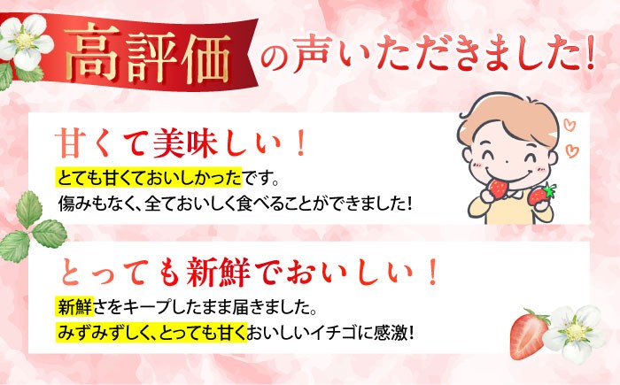 クリスマス ケーキ トッピング いちご ケーキ 手作り 苺 イチゴ