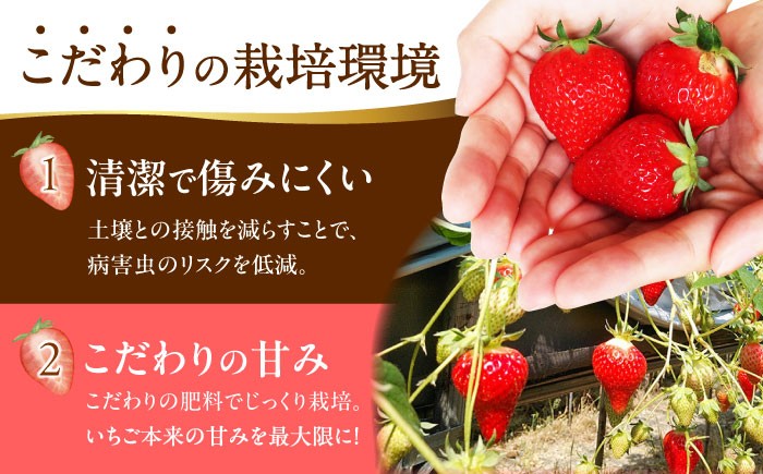 クリスマス ケーキ トッピング いちご ケーキ 手作り 苺 イチゴ