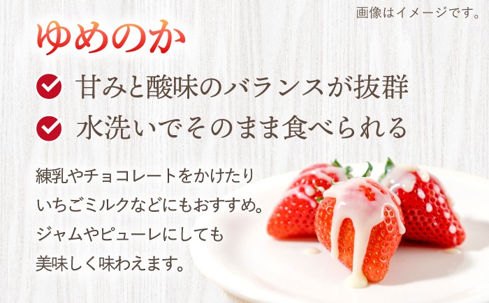 いちご 1kg