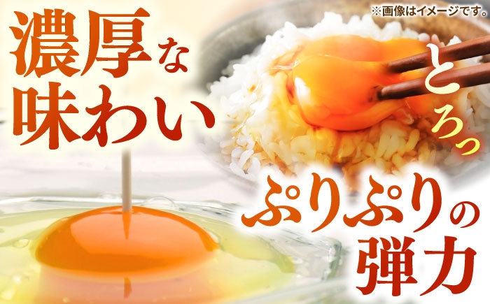 たまご ギフト 卵  新鮮 栄養豊富 濃厚 話題のたまご 贈答用  朝食 昼食