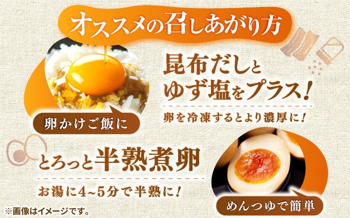 たまご ギフト 卵  新鮮 栄養豊富 濃厚 話題のたまご 贈答用  朝食 昼食