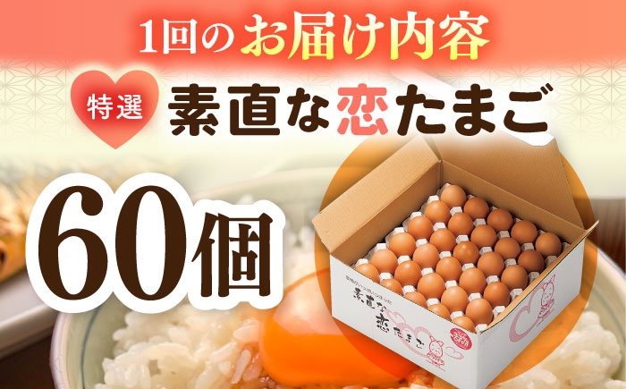 たまご ギフト 卵  新鮮 栄養豊富 濃厚 話題のたまご 贈答用  朝食 昼食