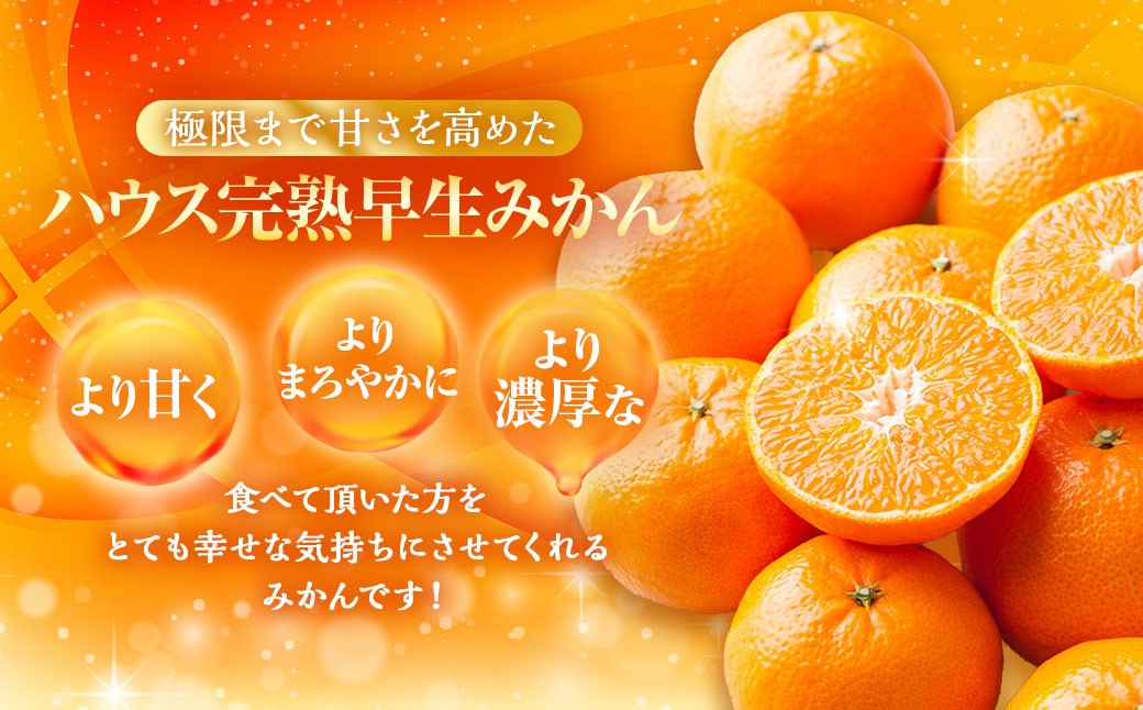 先行予約 ハウス 完熟 早生みかん お試し 約2.5kg箱 フルーツ 果物 くだもの ミカン