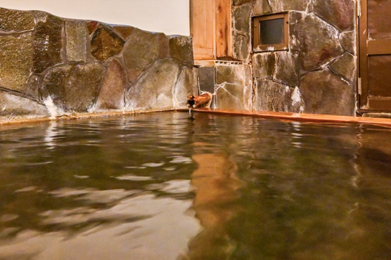 【温泉】名湯として名高い杖立温泉。当館の湯は無色透明、岩塩の成分が含まれPH9と肌に優しいしっとりと優しい泉質です。