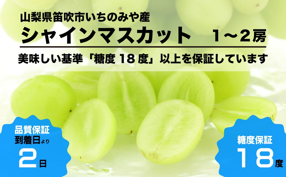 17度以下のシャインマスカットは美味しくありません。だから糖度18度以上のシャインマスカットのみを選び抜いてお届けしています!