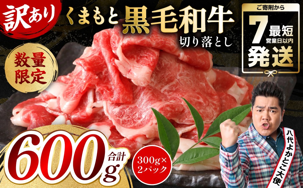 【訳あり】 くまもと黒毛和牛 切り落とし ◆毎月数量限定◆ 600g (300g×2パック) 様々な料理に活躍！