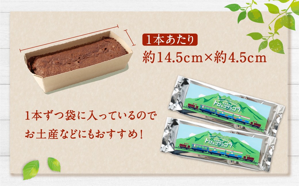 南阿蘇鉄道 トロッコショコラ 20本（約145g×20本）