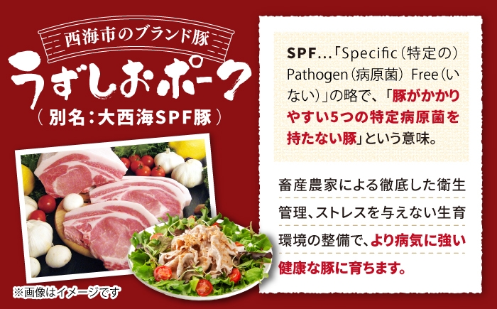 小分け 豚 こま切れ 国産