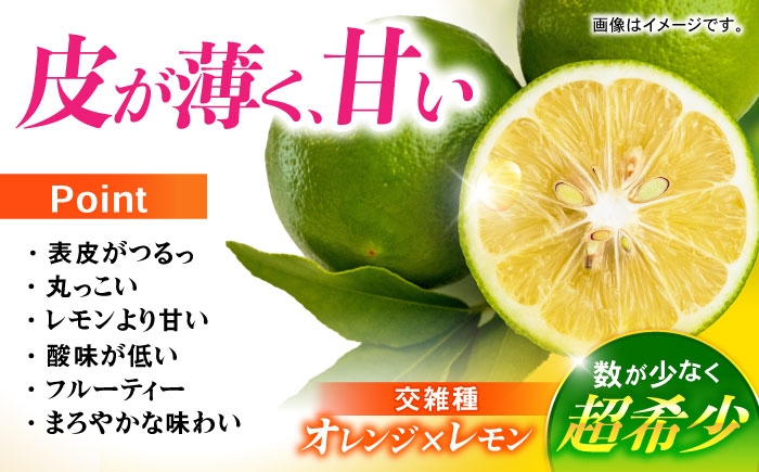 レモン れもん 檸檬 果汁 グリーンレモン ぐりーんれもん 柑橘 フルーツ ふるーつ 果物 くだもの レモンサワー レモンケーキ