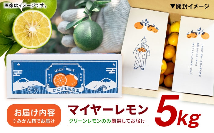 レモン れもん 檸檬 果汁 グリーンレモン ぐりーんれもん 柑橘 フルーツ ふるーつ 果物 くだもの レモンサワー レモンケーキ