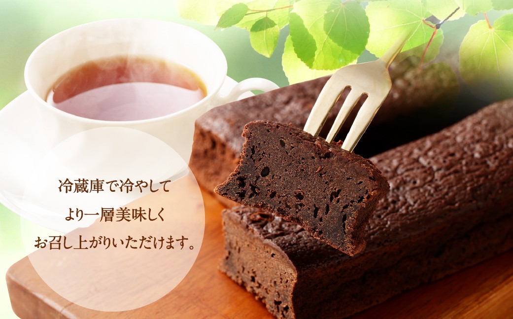 南阿蘇鉄道 トロッコショコラ 10本（約145g×10本）