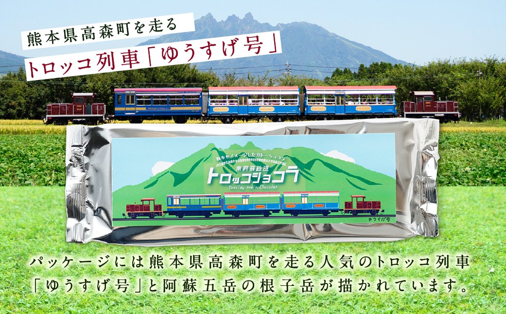 南阿蘇鉄道 トロッコショコラ 6本（約145g×6本）