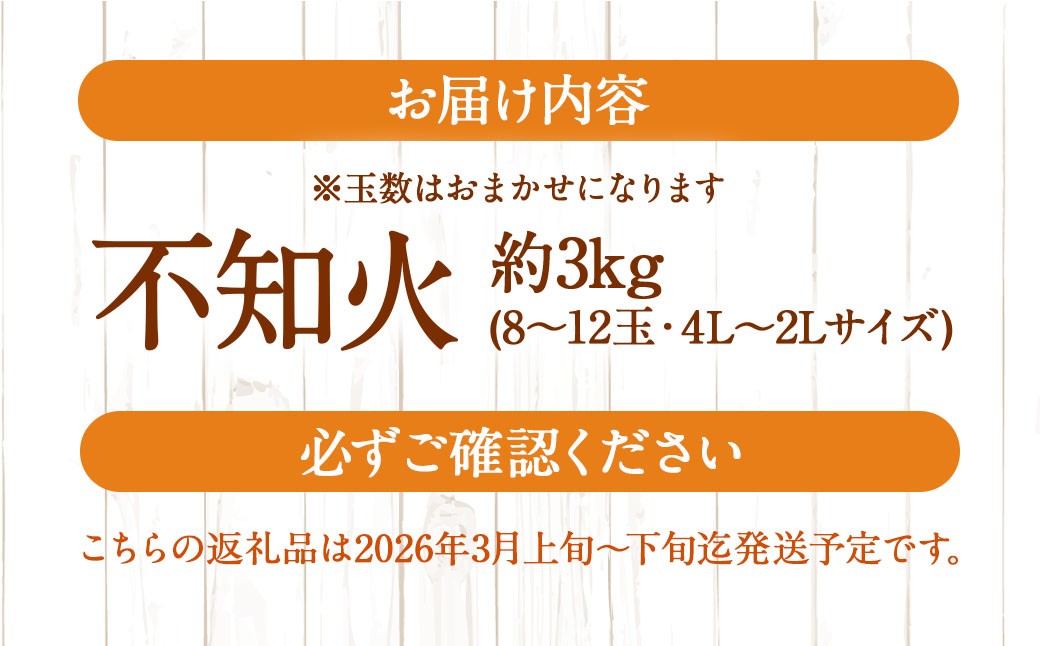 不知火 約3kgセット