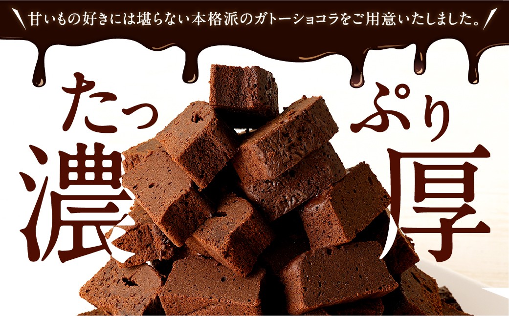 南阿蘇鉄道 トロッコショコラ 10本（約145g×10本）